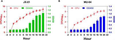 The protective effect of inactivated Flavobacterium columnare vaccine in grass carp (Ctenopharyngodon idellus)